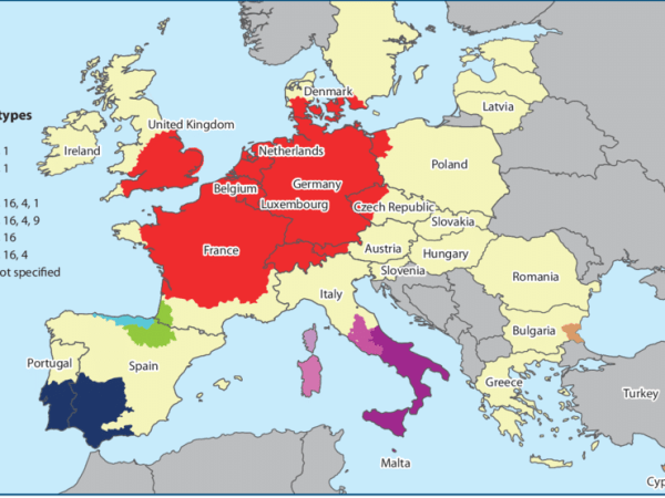 Bluetongue virus – A Transcontinental Disease
