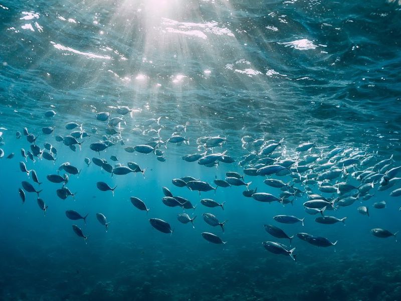 Layers of Problems – Climate Change and the&nbsp;Oceans